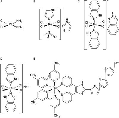 Frontiers Applications Of Ruthenium Complex In Tumor Diagnosis And